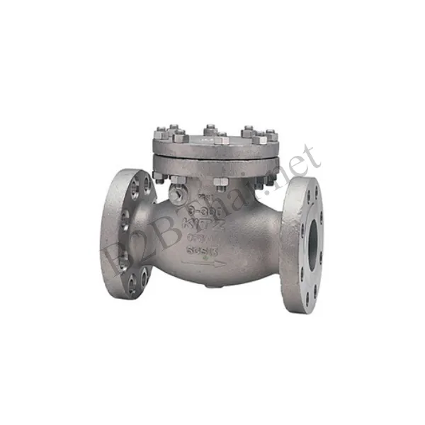 Check valve 5″ 300P 300UOAM Kitz