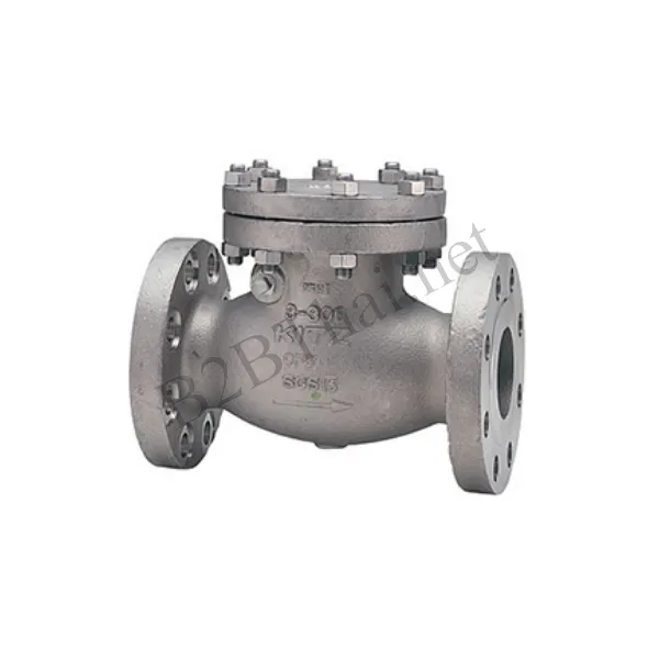 Check valve 5″ 300P 300UOA Kitz