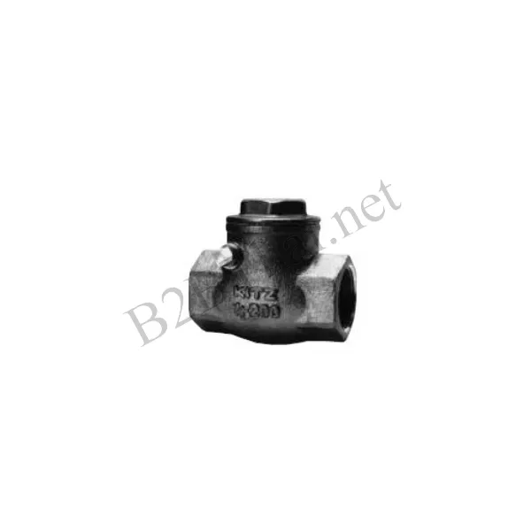Check valve 2″ 10K UO Kitz