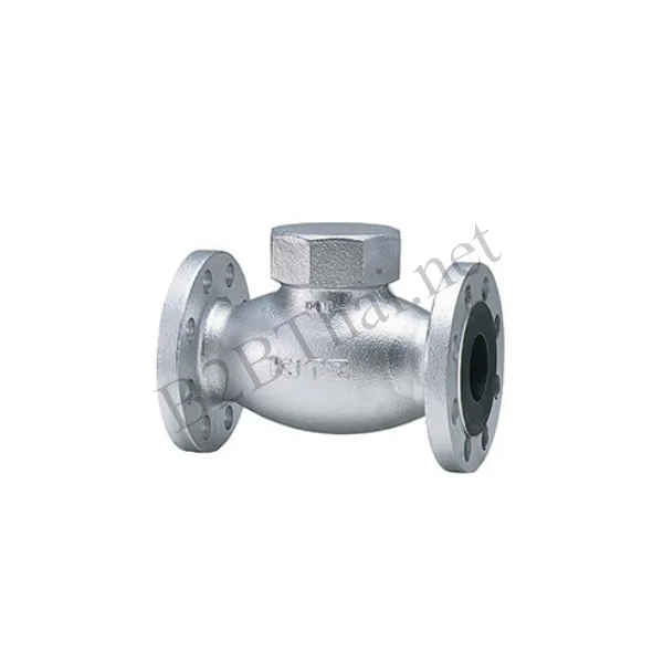 Check valve 1-1/4″ 20K 20SNB Kitz