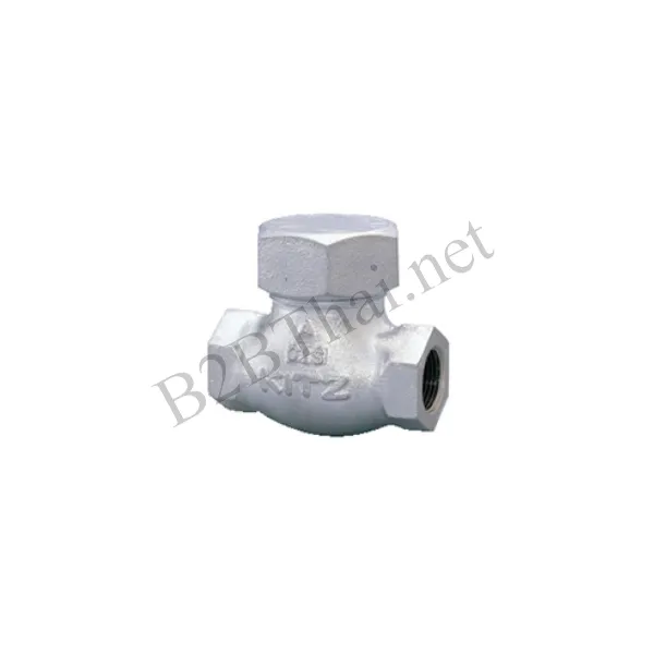Check valve 2″ 20K 20SN Kitz