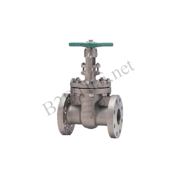Gate Valve 3″ 300P 300UMAM Kitz