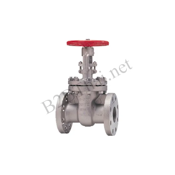 Gate Valve 3″ 300P 300UMA Kitz