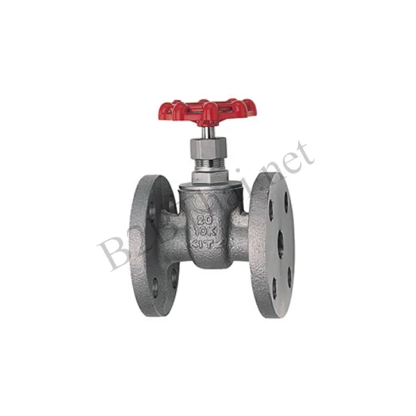Gate Valve 1″ 10K UEBM Kitz