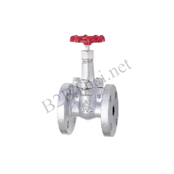 Gate Valve 2″ 10K 10SMBF Kitz