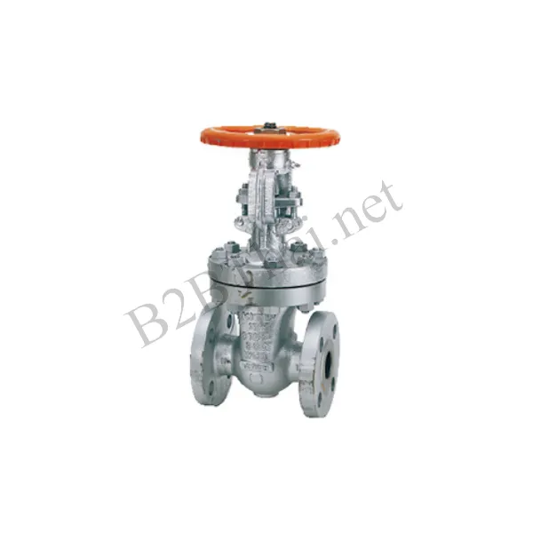 Globe Valve 3/4″ 100P A Kitz